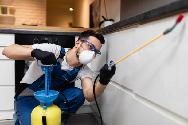 Professional Pest Control in Honolulu, HI