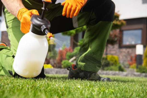 Best Best Pest Control Companies  in Honolulu, HI