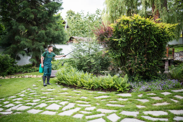 Best Commercial Pest Control Services  in Honolulu, HI