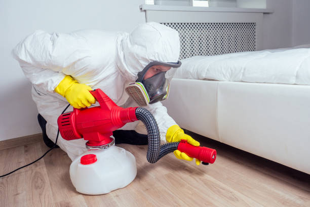Best Wasp Removal Services  in Honolulu, HI