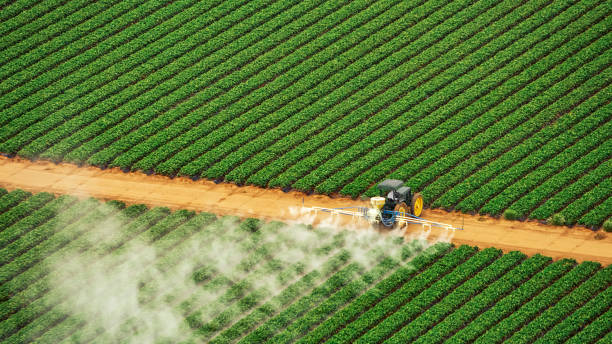 Best Mosquito Control Services  in Honolulu, HI